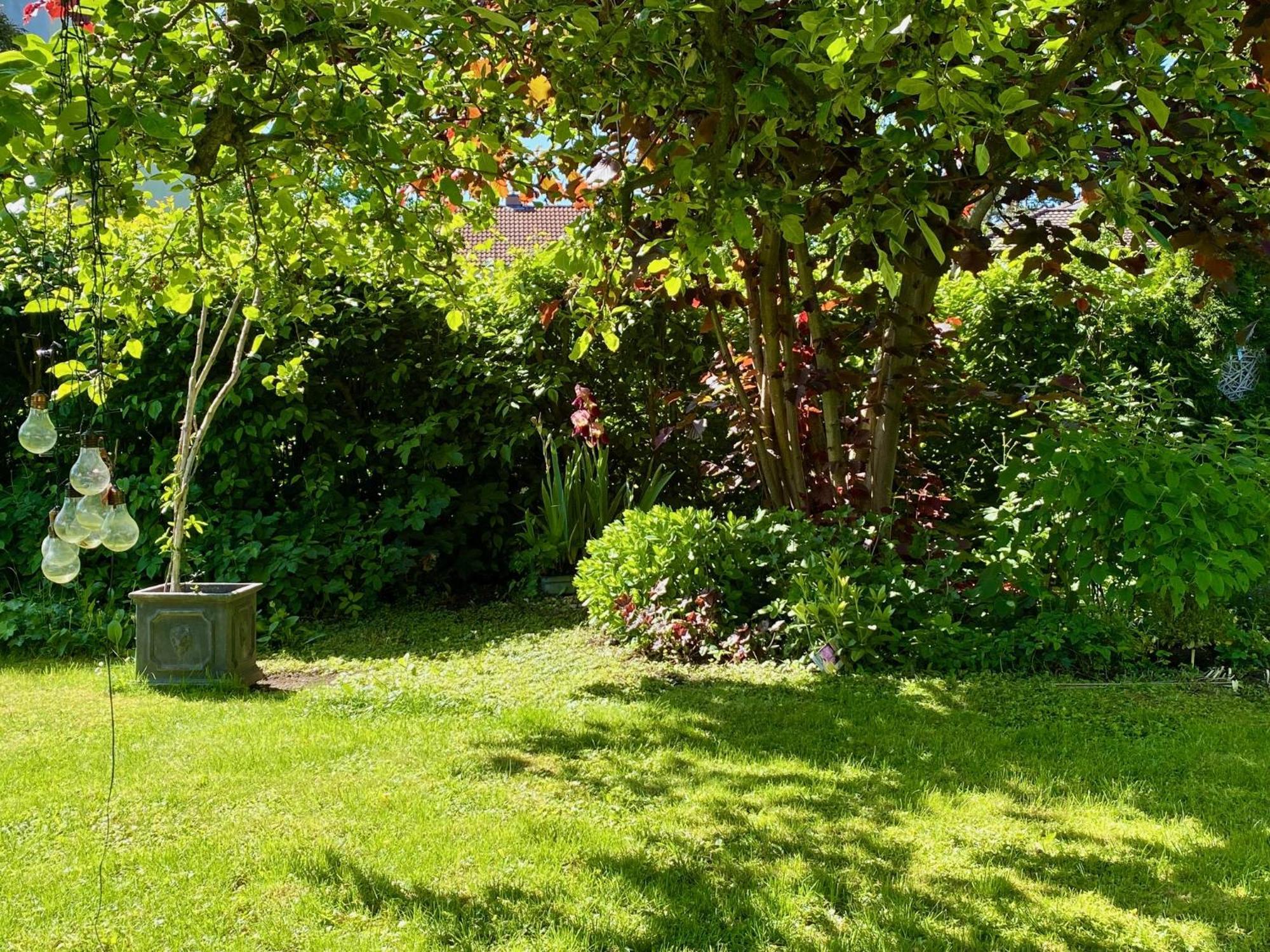 Ferienwohnung Auszeit-Ort Mit Wohlfuehl-Garantie Neu-Ulm Exterior foto